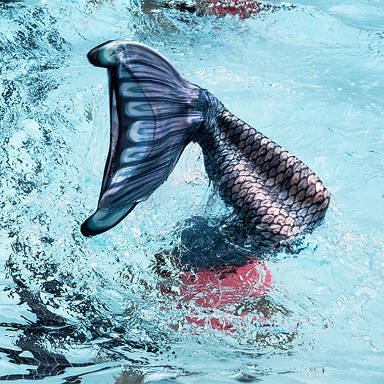 Discover Mermaid