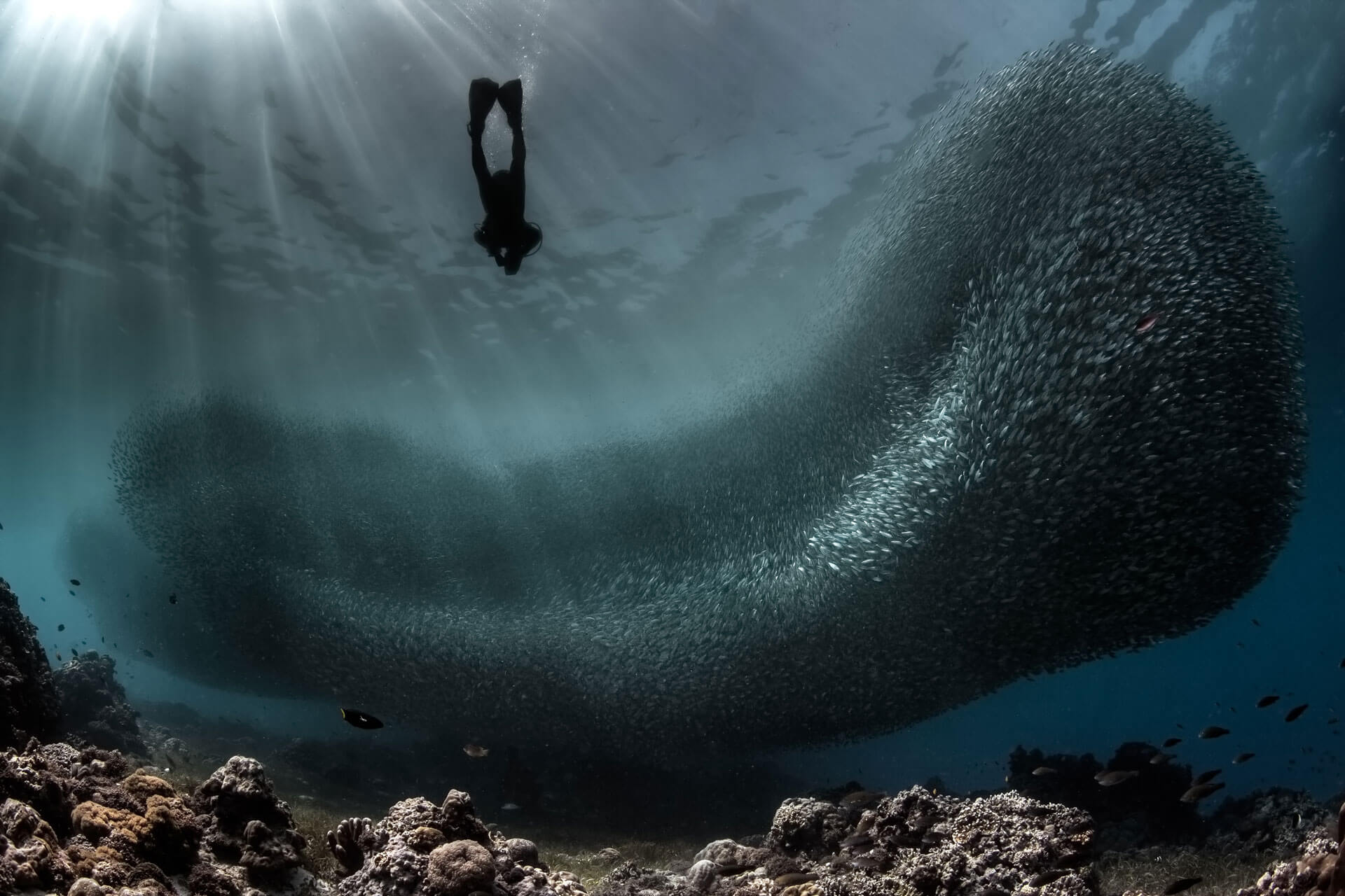 Try Diving 